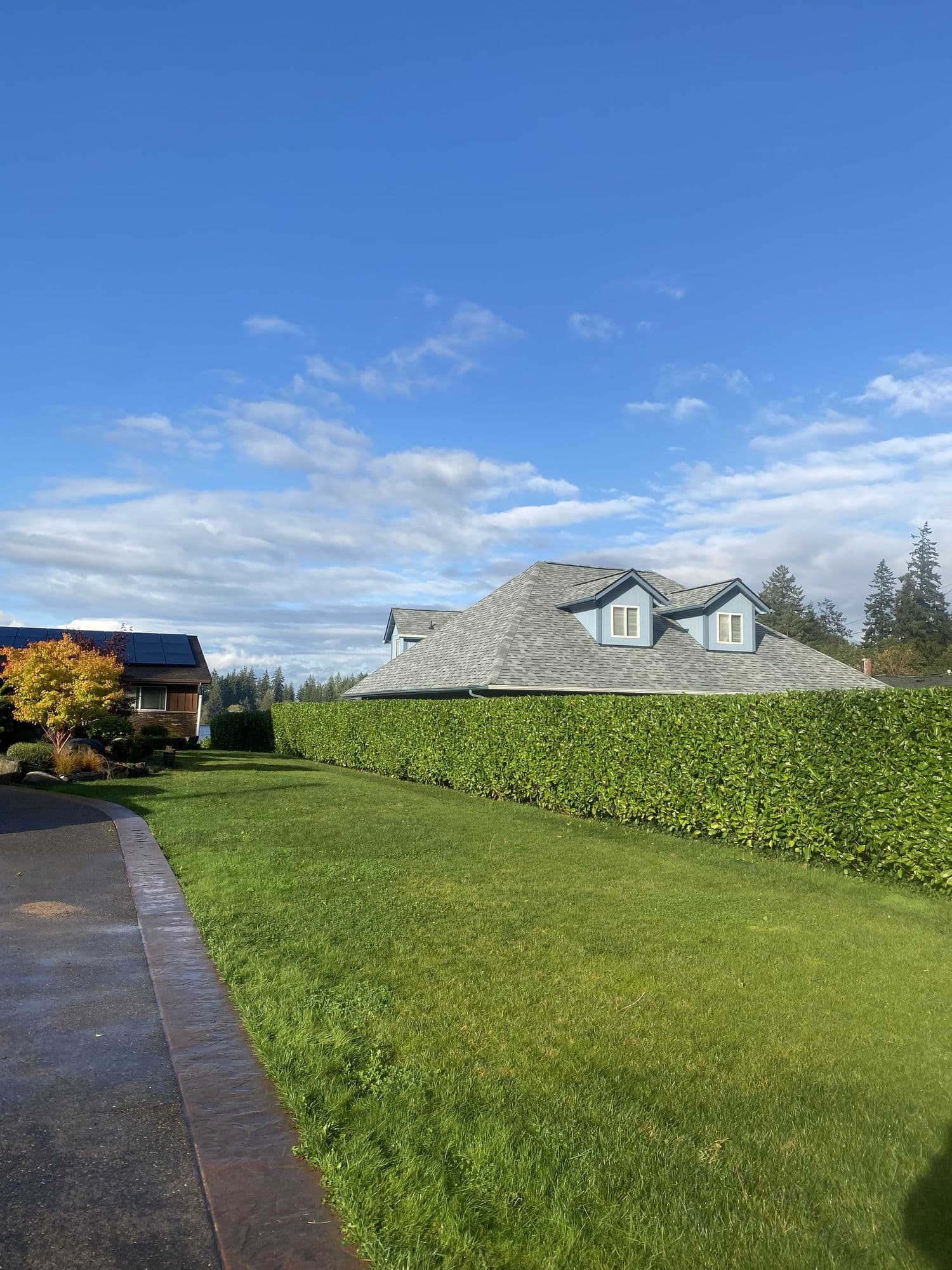 Manicured lawn and hedge along a driveway