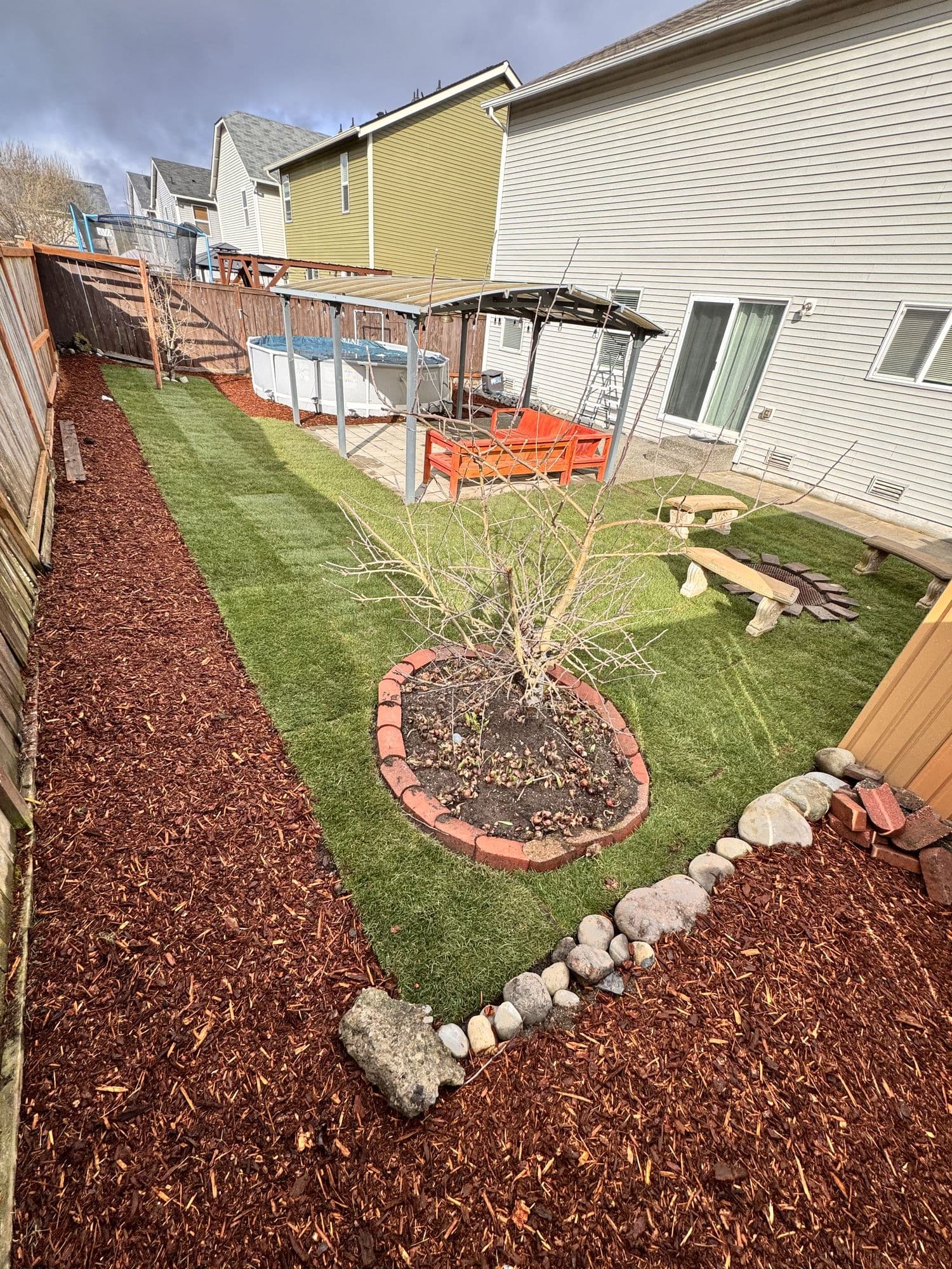 New tree planting with mulch bed and stone border