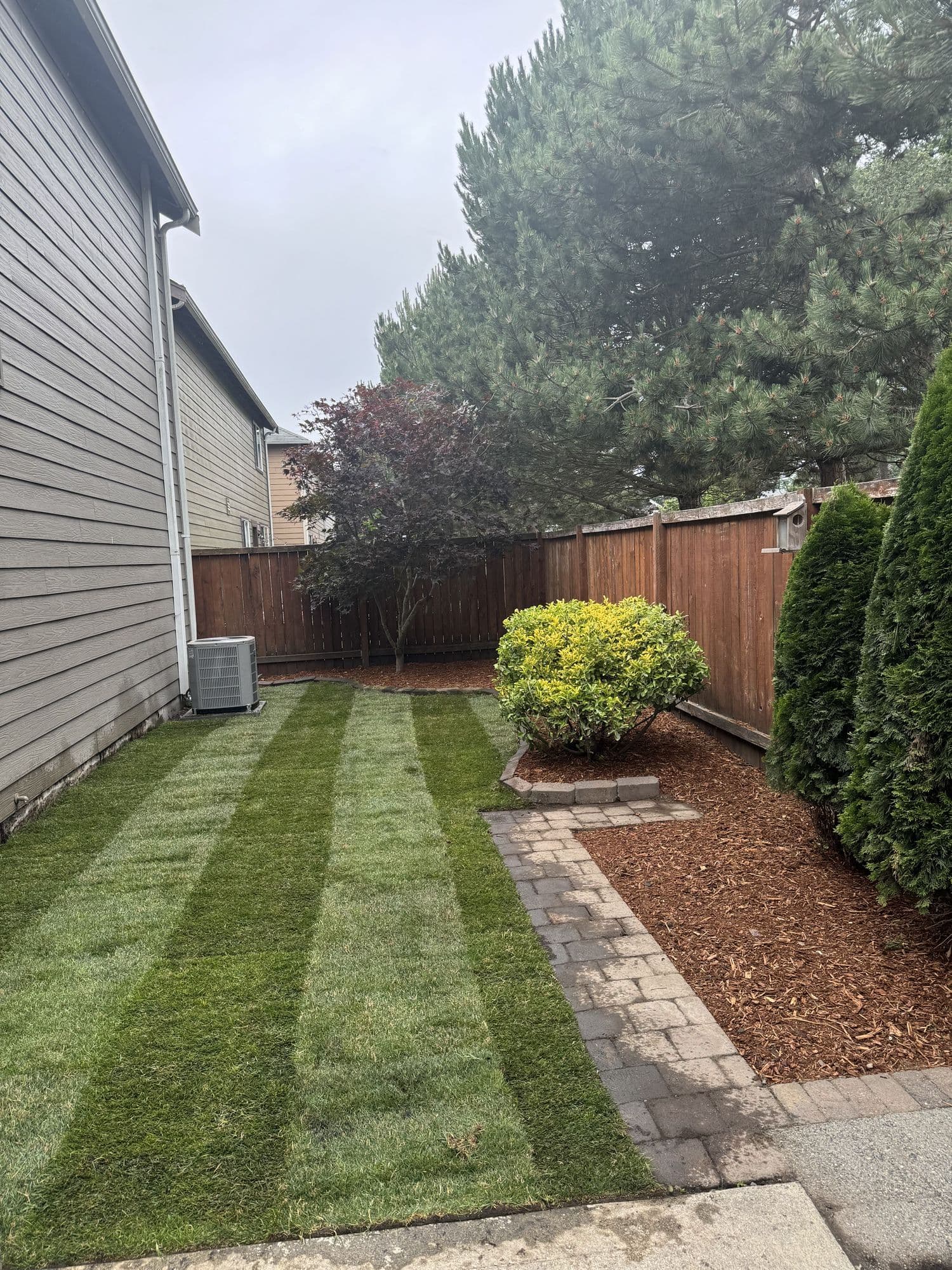 Freshly mowed striped lawn with paver walkway