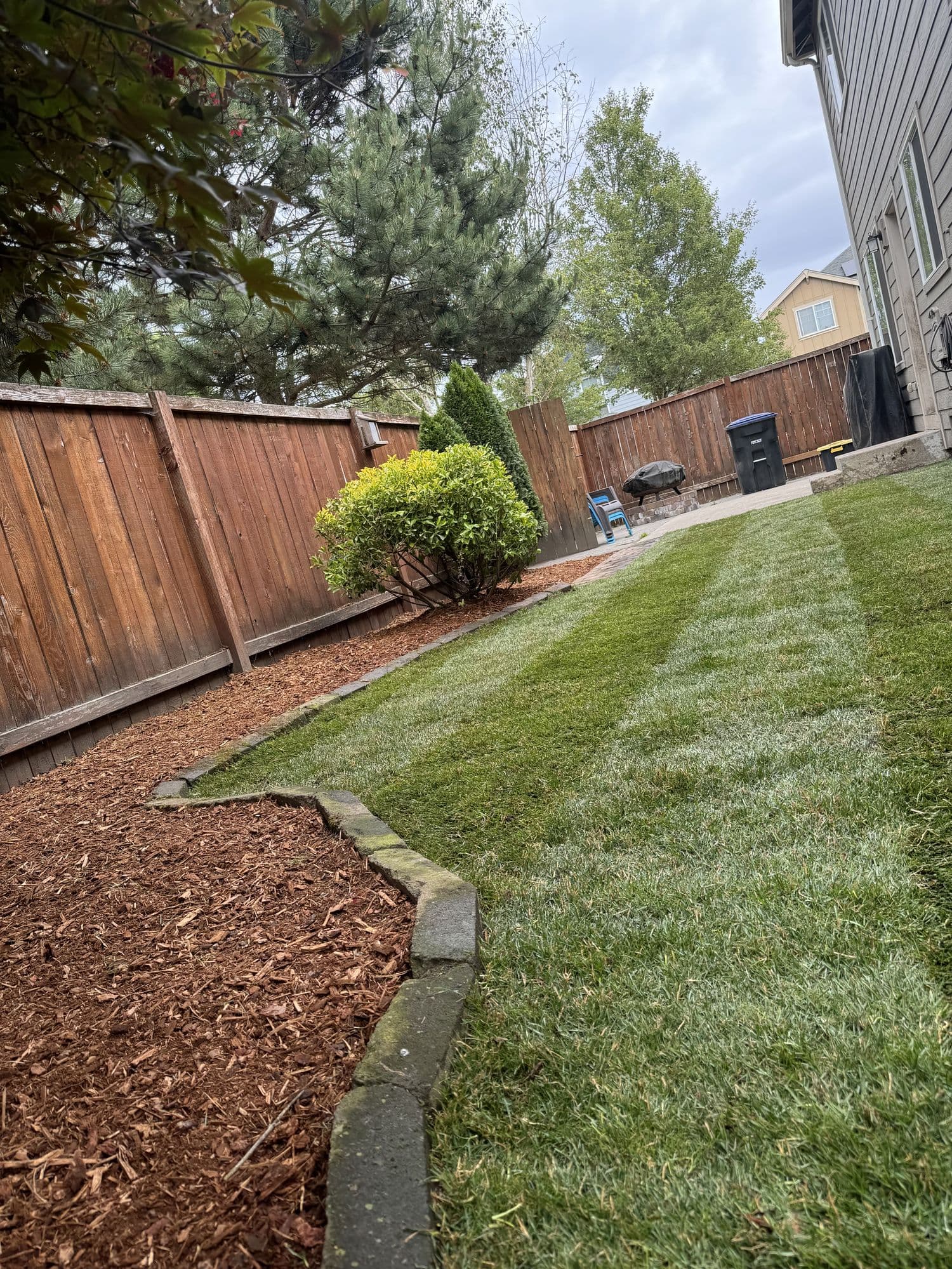 Striped lawn maintenance with mulch bed border