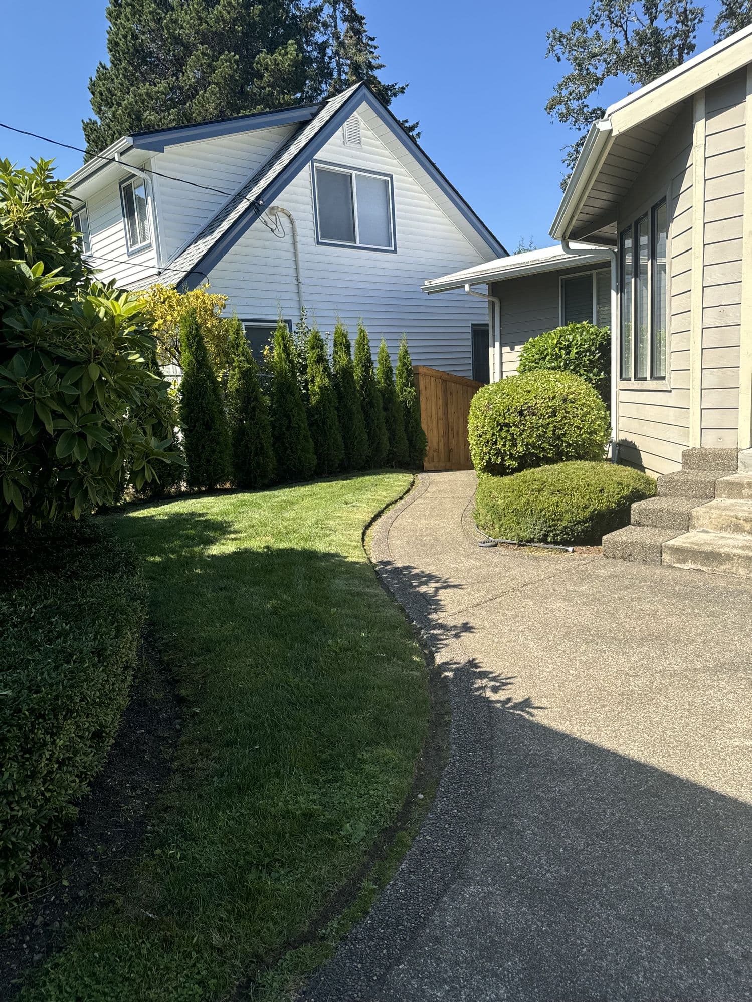Trimmed hedges and manicured lawn along a walkway